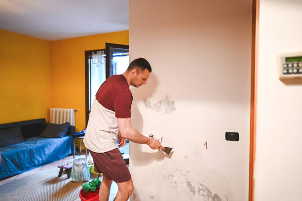 Best HVAC Mold Remediation in Eagle River, WI