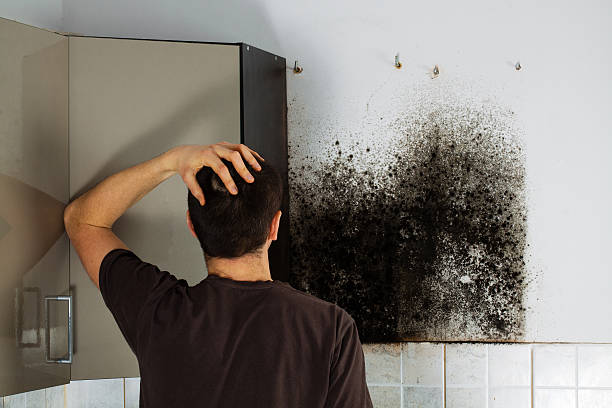 Best Bathroom Mold Remediation in Eagle River, WI